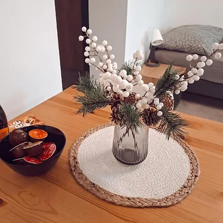 Apartment Slupecna 16